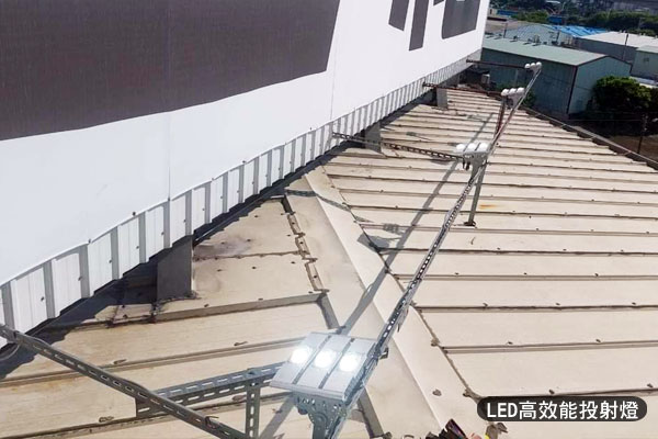 trunk